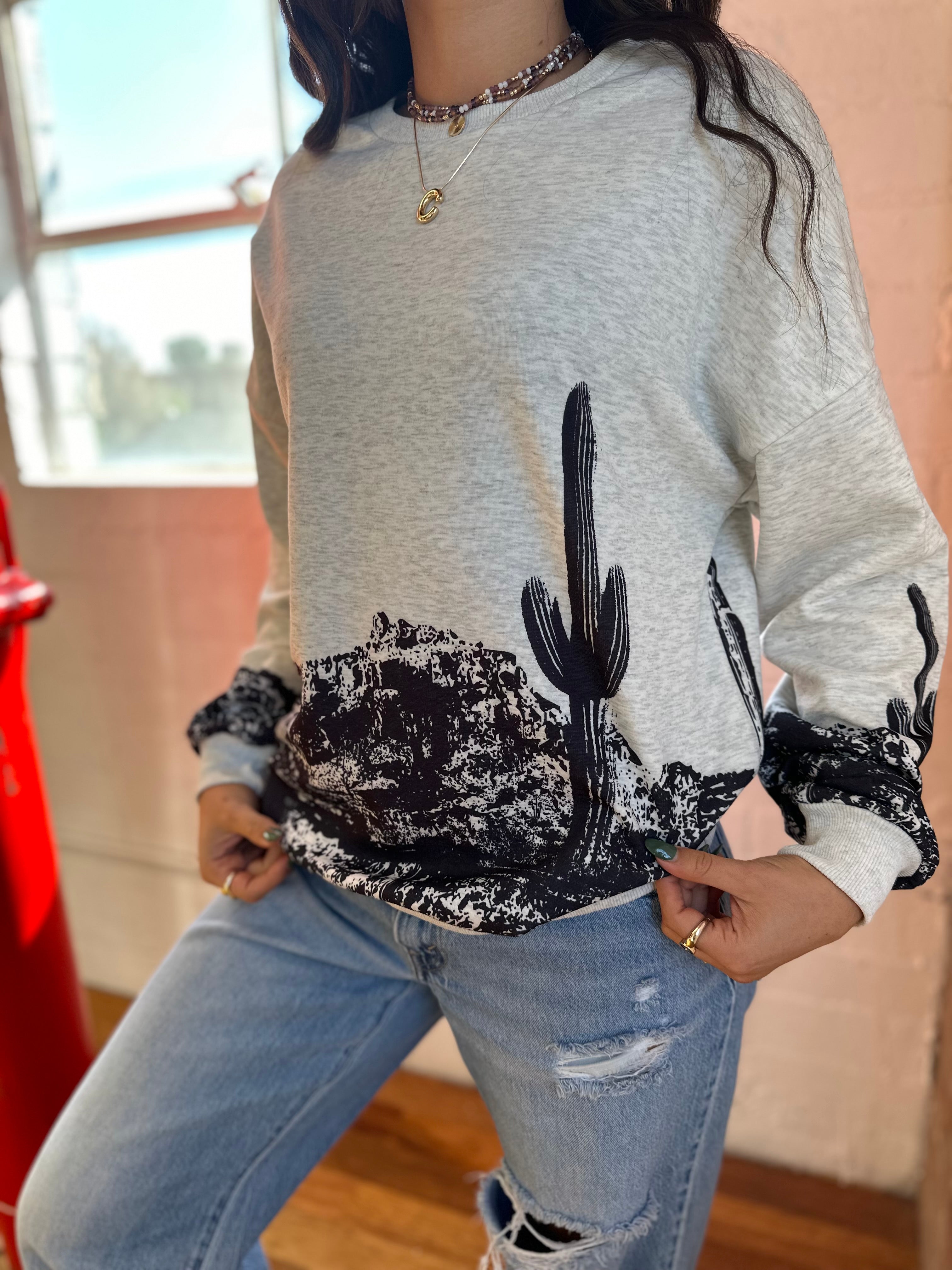 Arizona Desert, cactus black and grey sweatshirt-Golden Desert Boutique-Golden Desert Boutique, Women's Fashion and Accessories located in Surprise, AZ
